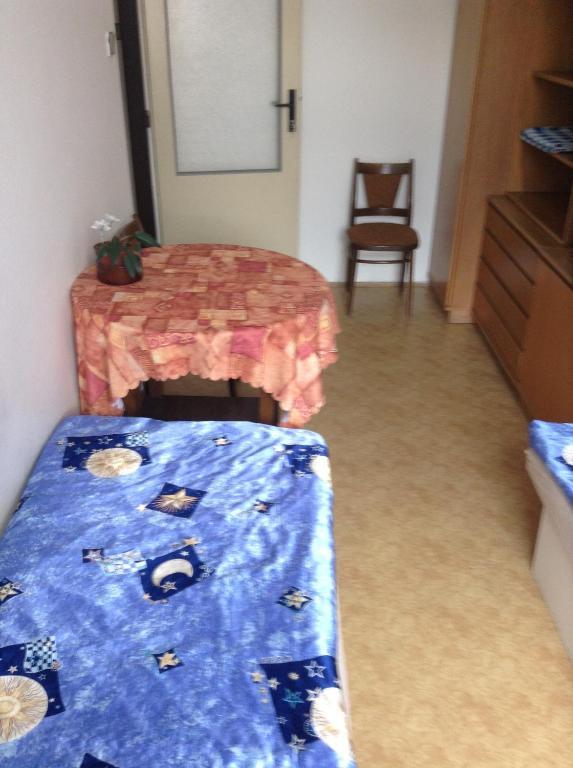 At Pension 체스케부데요비체 객실 사진